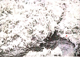 Kolam Labi-labi Keramat